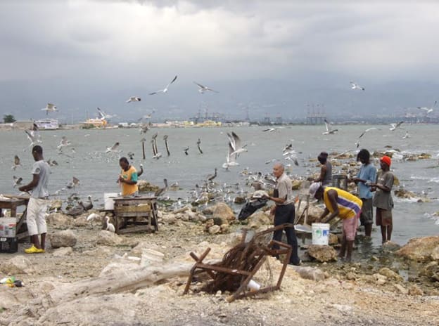Jamaica’s Fisheries and Climate Change – Moving in a Positive Direction