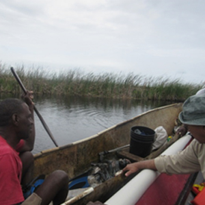Jamaica-Biodiversity