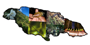 Jamaica-Biodiversity